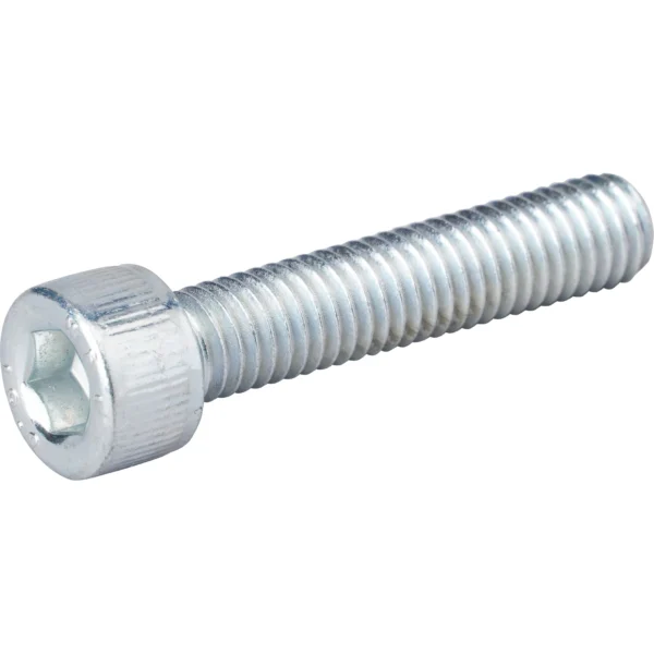 Bosch Rexroth Socket Head Cap Screw (M6) > CS-06-30(Fully Threaded)