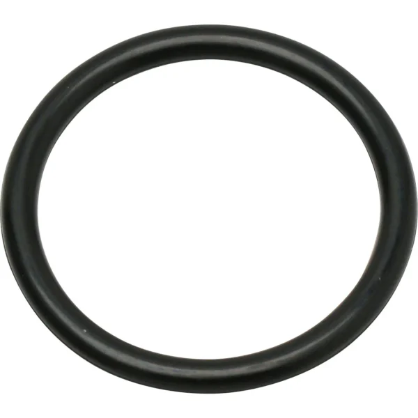 Mirai Industry O-Ring P (for movement and fixing) NBR >P-22