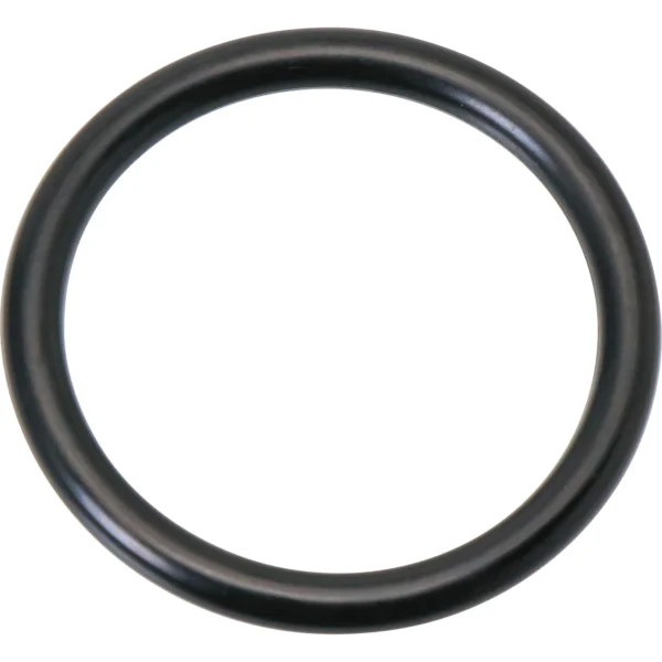 Mirai Industry O-ring P (for Movement and Fixation) NBR >P-29.5