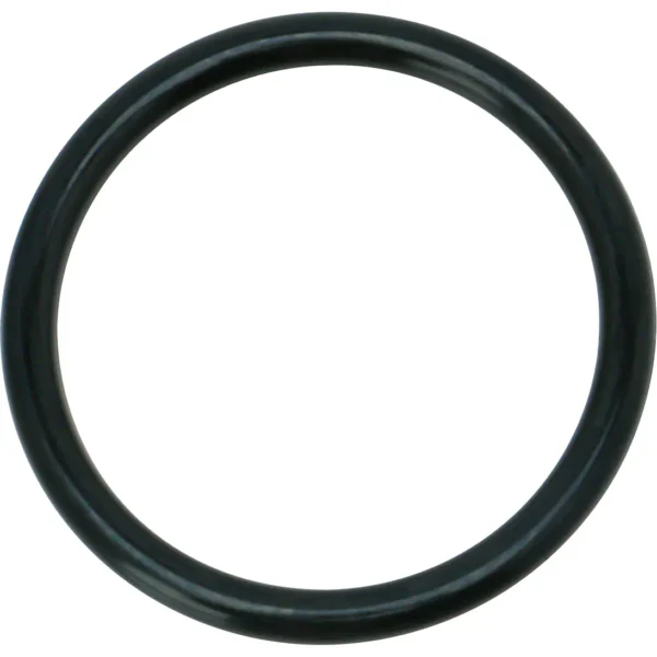 Mirai Industry O-Ring P (for movement and fixation) NBR >P-34