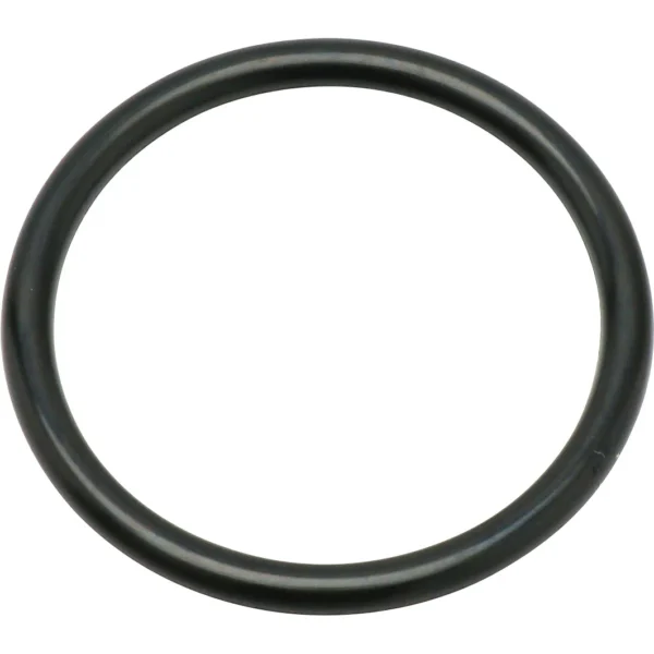 Mirai Industry O-Ring P (for Movement and Fixation) NBR >P-36