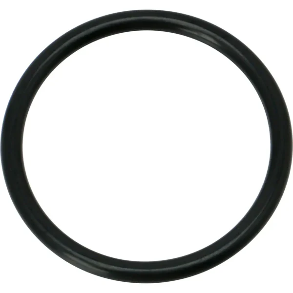 Mirai Industry O-Ring P (For Movement and Fixation) NBR >P-39