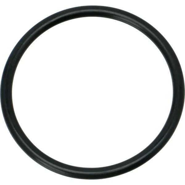 Mirai Industry O-Ring P (for movement and fixation) NBR >P-46