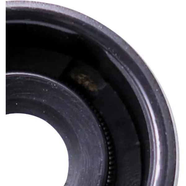 NOK Oil Seal S Type NBR > MS6167 - Image 4