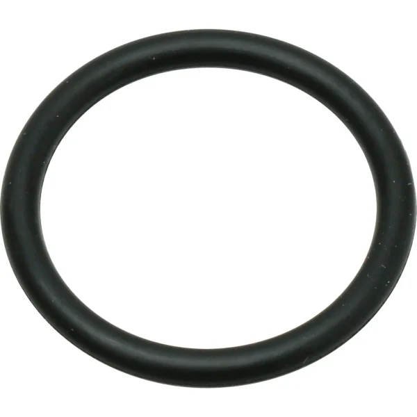 Morisei Kako O-Ring P (For Motion and Fixed Use) Fluororubber >P-20