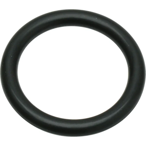 Morisei Kako O-Ring P (for moving and fixed use) Fluororubber >P-22A