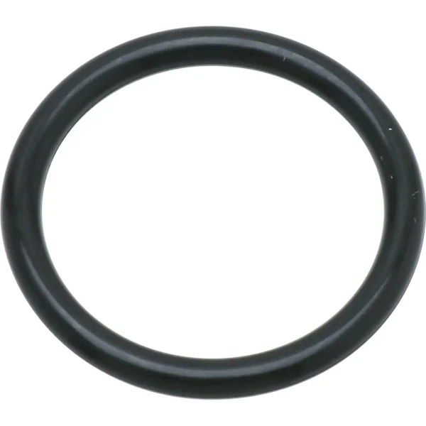 Morisei Kako O-Ring P (for dynamic and static applications) Fluoro Rubber >P-29