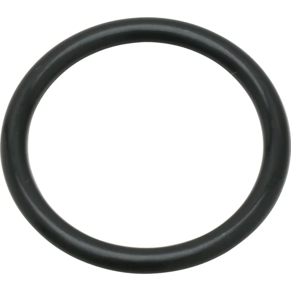 Morisei Kako O-Ring P (for dynamic and static applications) Fluororubber >P-30
