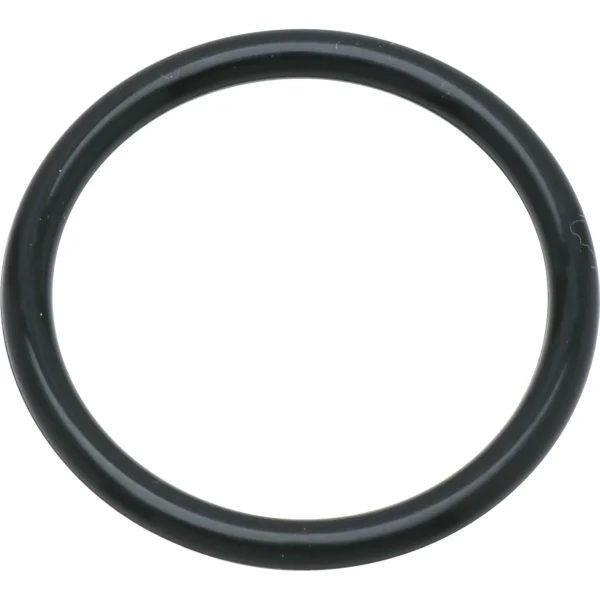 Morisei Kako O-Ring P (for dynamic and static applications) Fluororubber >P-34