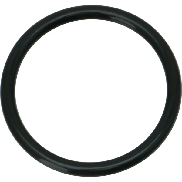 Morisei Kako O-Ring P (for dynamic and static applications) Fluoro Rubber >P-35