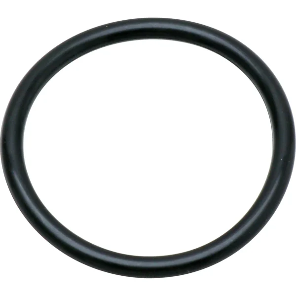 Morisei Kako O-Ring P (for dynamic and static use) Fluoro Rubber >P-38