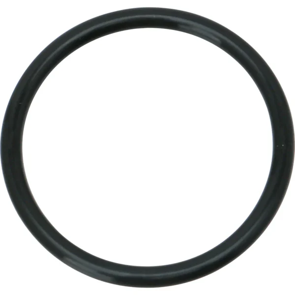 Morisei Kako O-Ring P (For Moving and Fixed Use) Fluoro Rubber >P-40