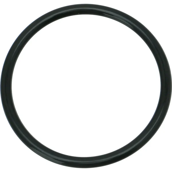 Morisei Kako O-Ring P (for movement and fixing) Fluororubber >P-45