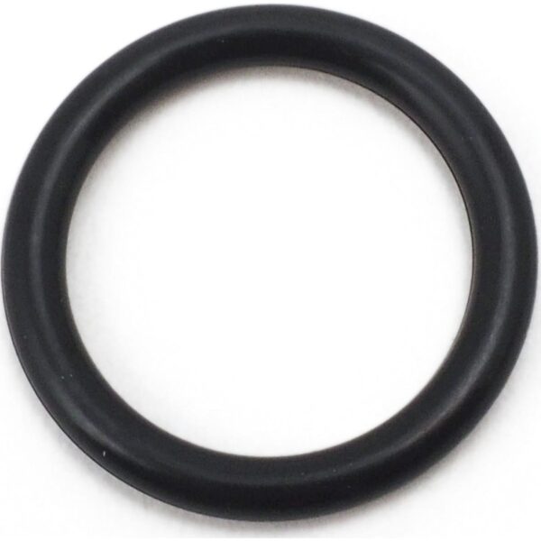 Morisei Kako O-Ring P Series (Fixed and Moving) Fluorine >4DP22.4